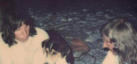 In the Pink (not a hunting memoir) by Nick Sedgwick