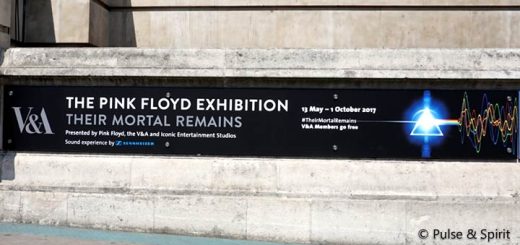 Their Mortal Remains Exhibition