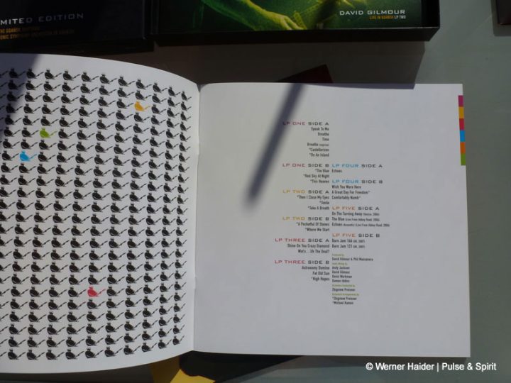 David Gilmour - Live in Gdansk Vinyl