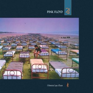 A Momentary Lapse of Reason