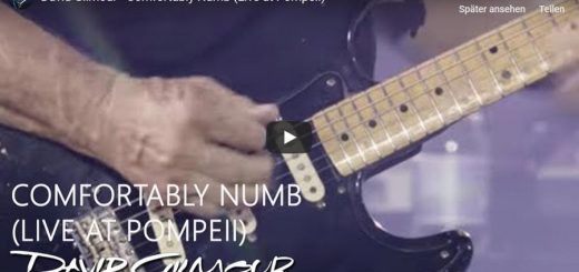 David Gilmour Comfortably Numb YouTube