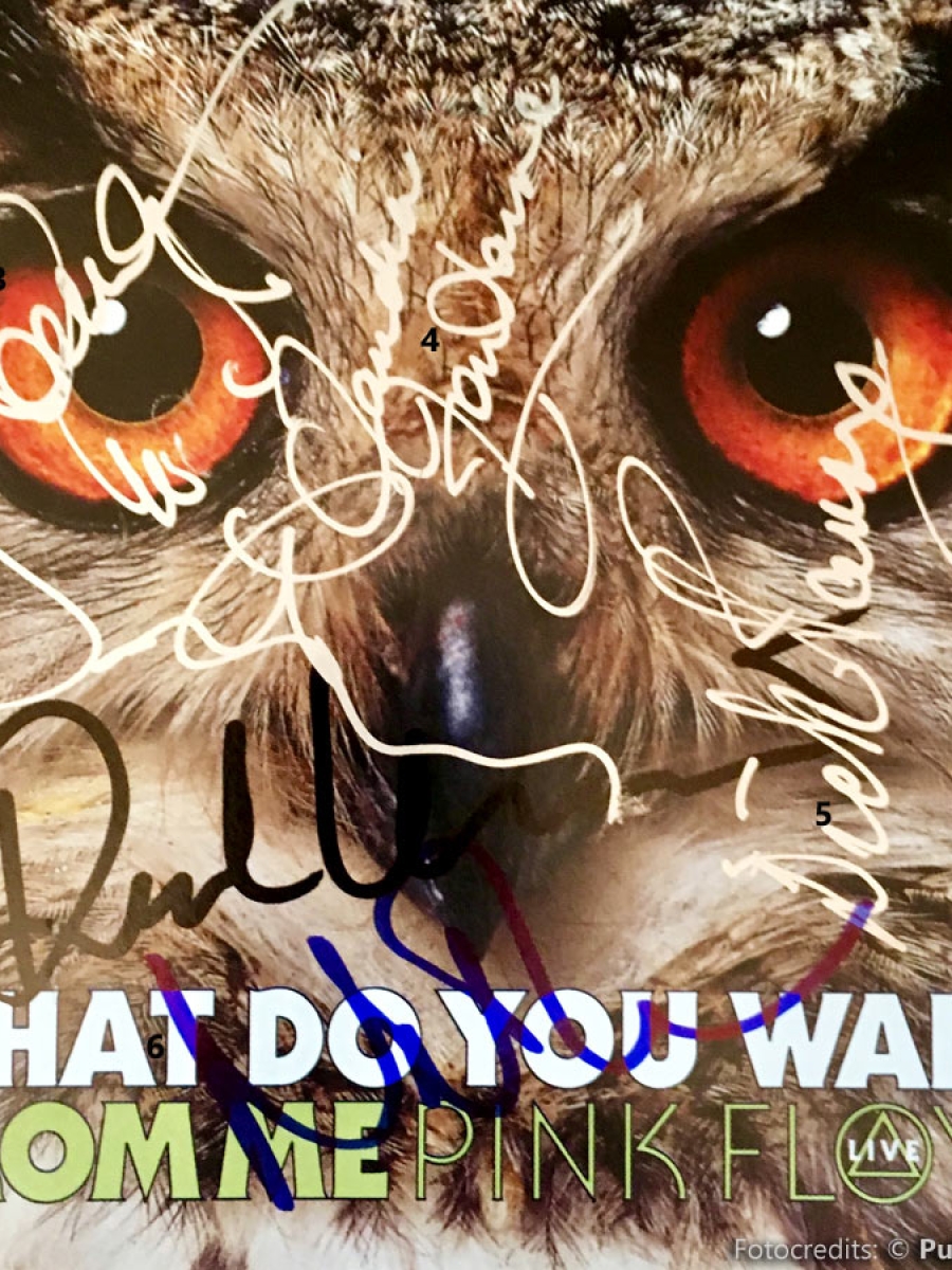 Pink Floyd What Do You Want From Me, Promo Pink Floyd What Do You Want From Me, Promo