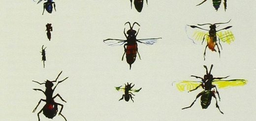 Syd Barrett - Barrett (1970)