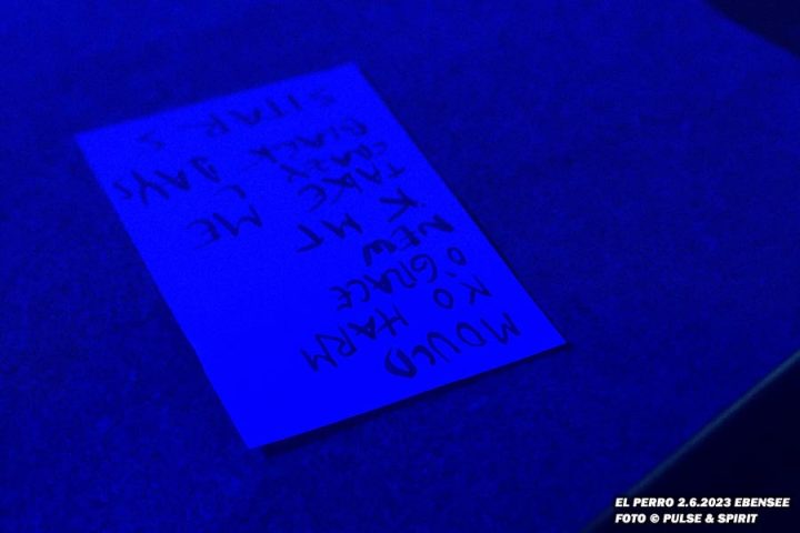 El Perro Ebensee 2.6.2023 El Perro Ebensee 2.6.2023