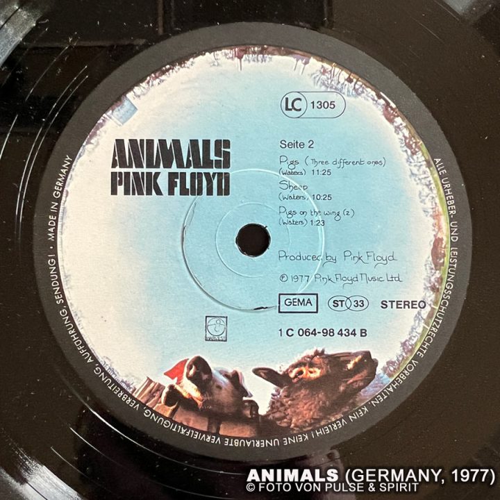 Animals-Vinyl-1