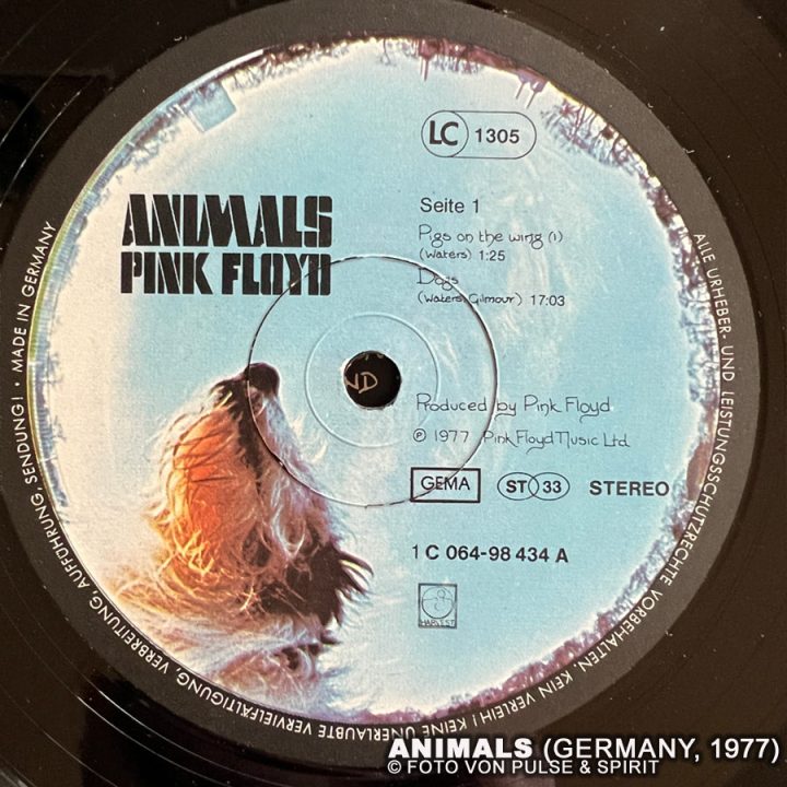 Animals-Vinyl-2