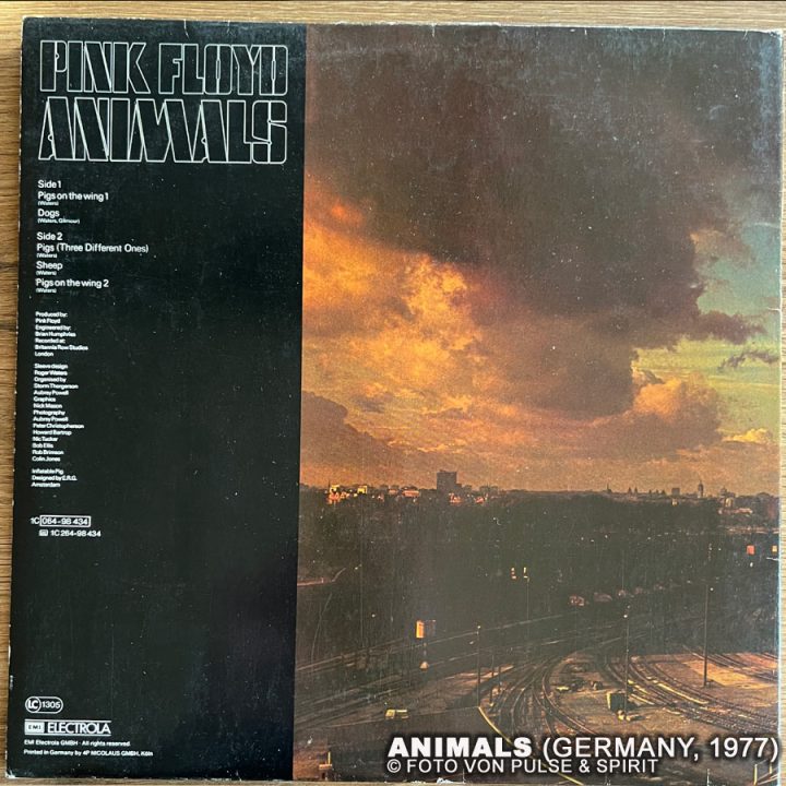 Animals-Vinyl-3