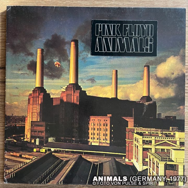 Animals, Vinyl, Germany