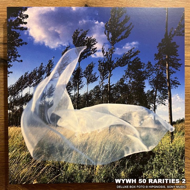 Pink Floyd Wish You Were Here Rarities LP