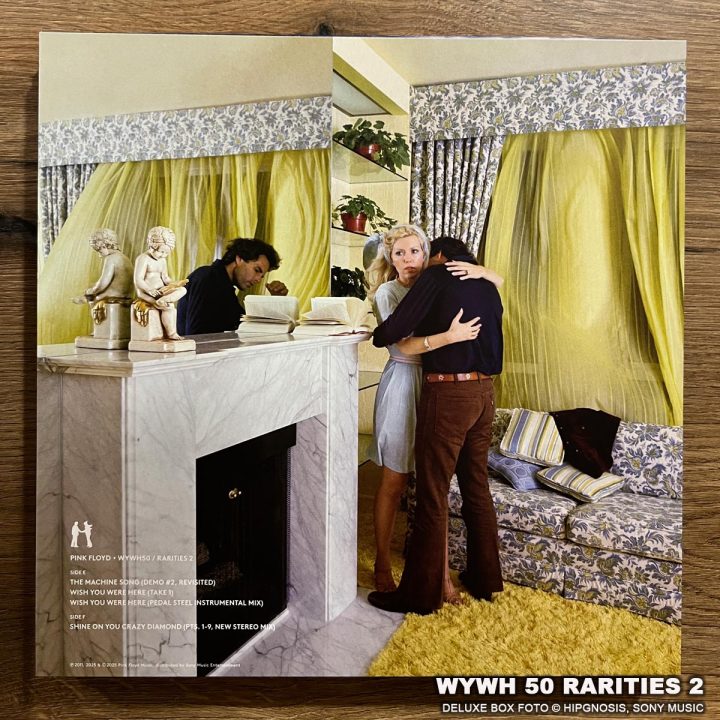 Pink Floyd - Wish You Were Here 50, Rarities LP