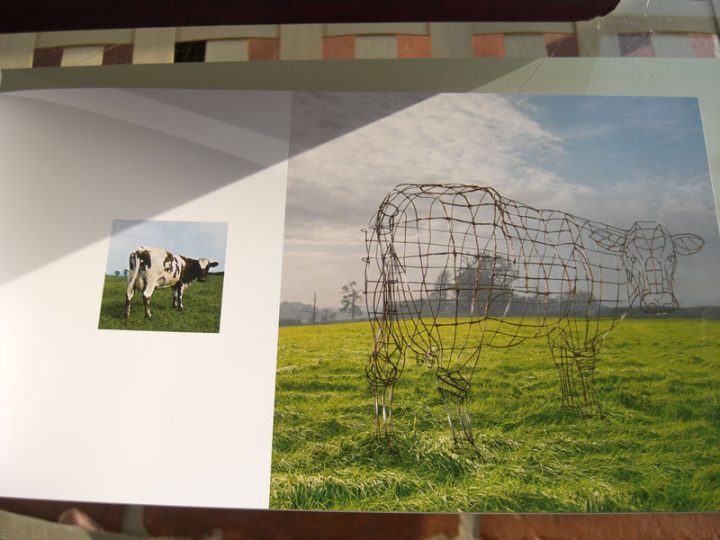 Discovery Box (2011)