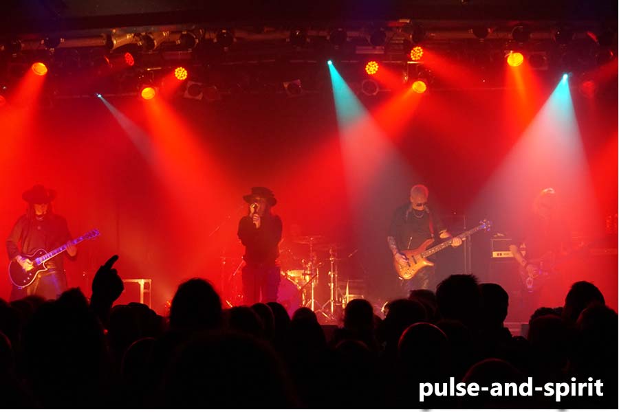 Fields Of The Nephilim 17.3.2016 München