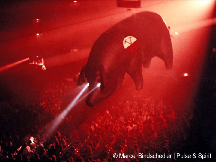 Pink Floyd 14.2.1981 Dortmund